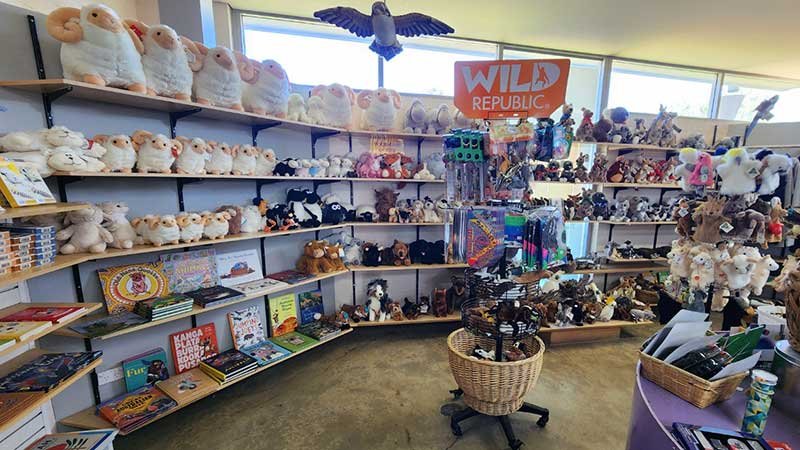 The-big-Merino(Goulburn)7