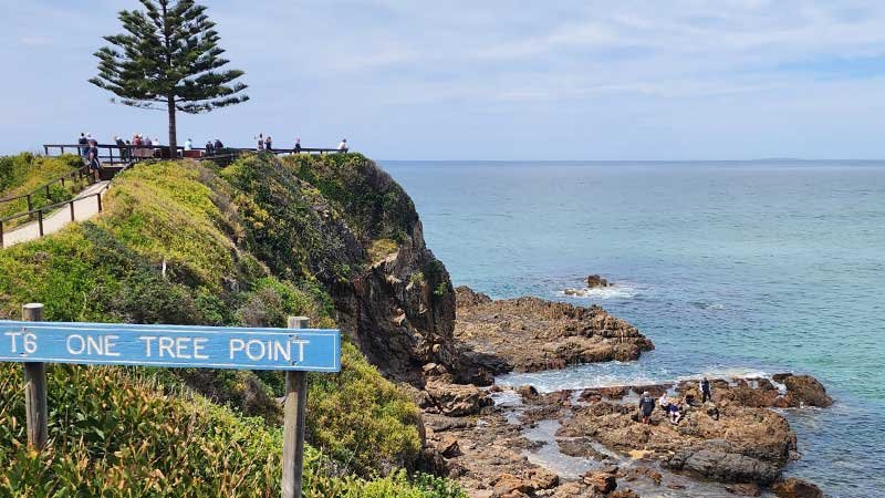 Tuross-Head-on-Tree-Point1