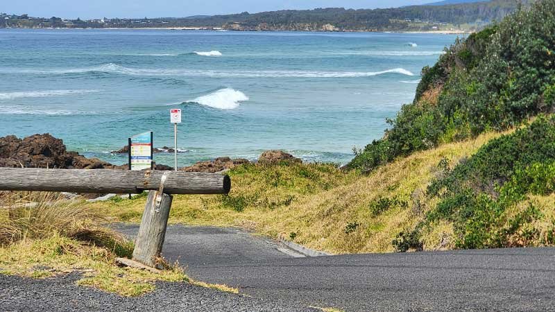Tuross-Head-on-Tree-Point2