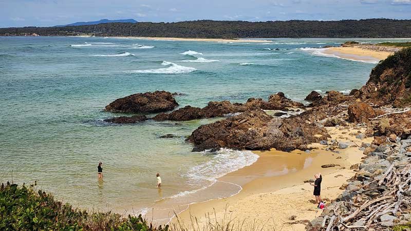 Tuross-Head-on-Tree-Point3