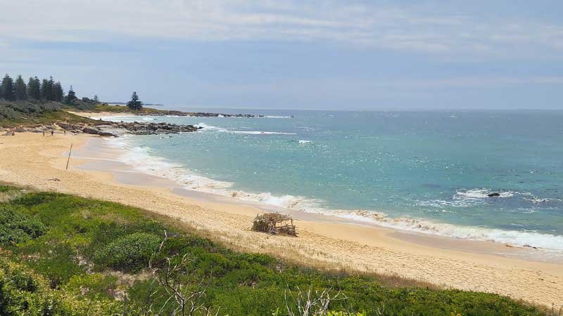 Tuross-Head-on-Tree-Point4