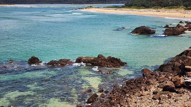 Tuross-Head-on-Tree-Point5