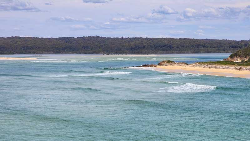 Tuross-Head-on-Tree-Point7
