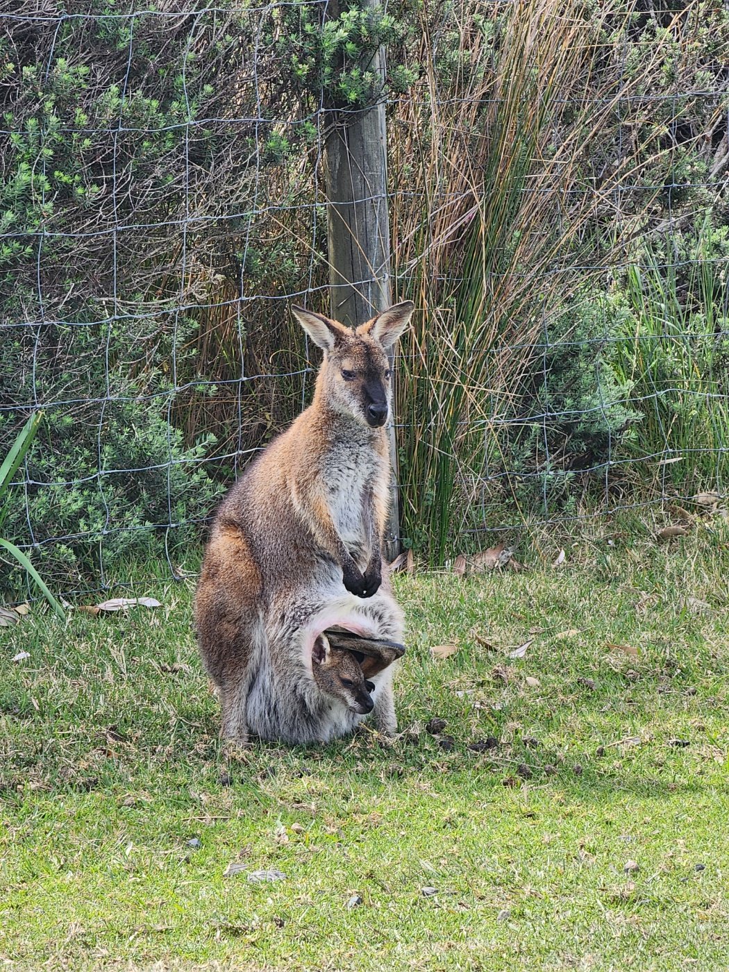 KakaoTalk_20241009_125156774 KakaoTalk_20241009_125156774